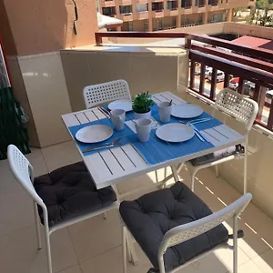 Palmeras Fuengirola